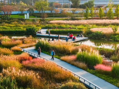 秋光為伴，我們與張村河共繪新景